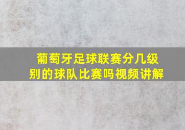 葡萄牙足球联赛分几级别的球队比赛吗视频讲解