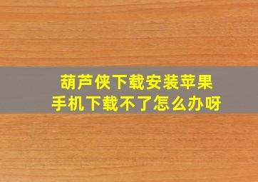 葫芦侠下载安装苹果手机下载不了怎么办呀