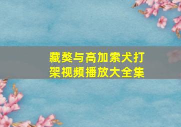 藏獒与高加索犬打架视频播放大全集