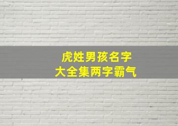 虎姓男孩名字大全集两字霸气