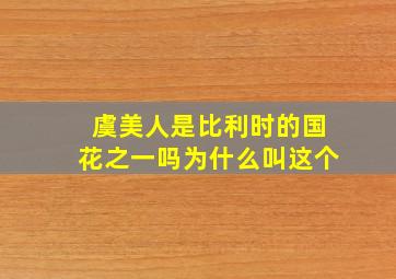 虞美人是比利时的国花之一吗为什么叫这个