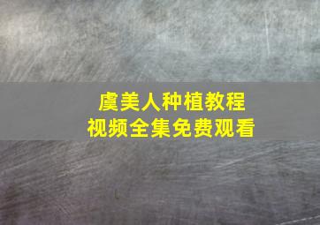 虞美人种植教程视频全集免费观看