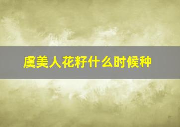 虞美人花籽什么时候种