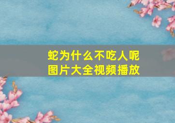 蛇为什么不吃人呢图片大全视频播放