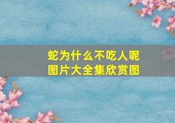 蛇为什么不吃人呢图片大全集欣赏图