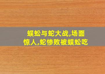 蜈蚣与蛇大战,场面惊人,蛇惨败被蜈蚣吃