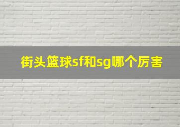 街头篮球sf和sg哪个厉害