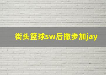 街头篮球sw后撤步加jay