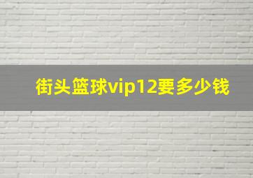 街头篮球vip12要多少钱