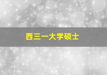 西三一大学硕士