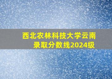 西北农林科技大学云南录取分数线2024级