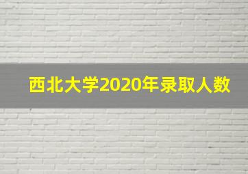 西北大学2020年录取人数