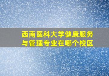 西南医科大学健康服务与管理专业在哪个校区