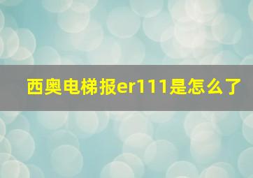 西奥电梯报er111是怎么了