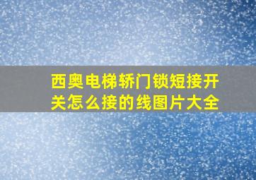 西奥电梯轿门锁短接开关怎么接的线图片大全