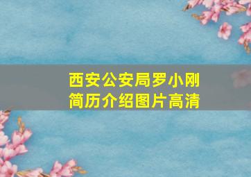 西安公安局罗小刚简历介绍图片高清