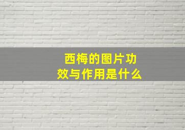 西梅的图片功效与作用是什么