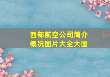 西部航空公司简介概况图片大全大图