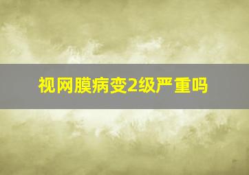 视网膜病变2级严重吗