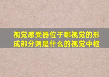 视觉感受器位于哪视觉的形成部分则是什么的视觉中枢