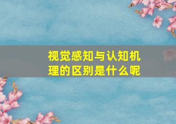 视觉感知与认知机理的区别是什么呢