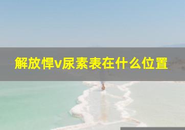 解放悍v尿素表在什么位置