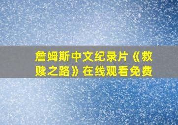 詹姆斯中文纪录片《救赎之路》在线观看免费