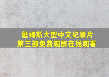 詹姆斯大型中文纪录片第三部免费观影在线观看