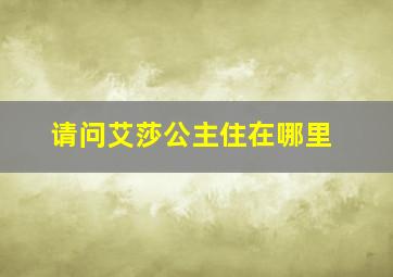 请问艾莎公主住在哪里