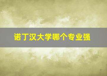 诺丁汉大学哪个专业强