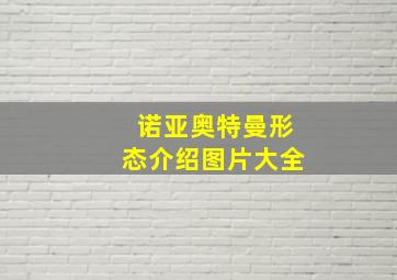 诺亚奥特曼形态介绍图片大全