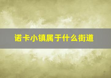 诺卡小镇属于什么街道