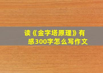 读《金字塔原理》有感300字怎么写作文