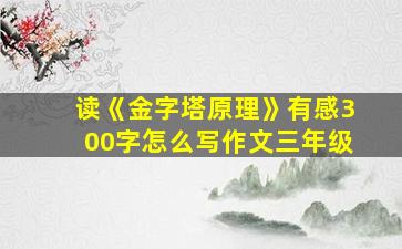 读《金字塔原理》有感300字怎么写作文三年级