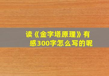 读《金字塔原理》有感300字怎么写的呢