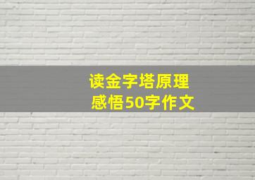 读金字塔原理感悟50字作文