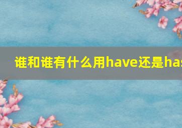 谁和谁有什么用have还是has