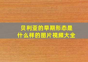 贝利亚的早期形态是什么样的图片视频大全