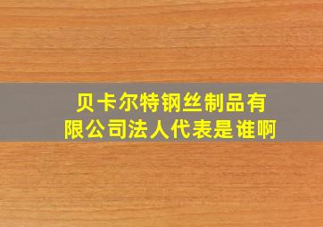 贝卡尔特钢丝制品有限公司法人代表是谁啊