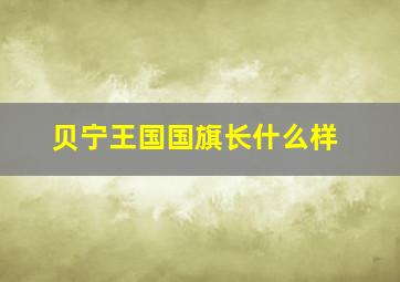 贝宁王国国旗长什么样