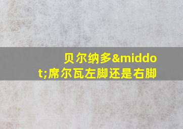 贝尔纳多·席尔瓦左脚还是右脚