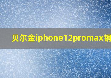 贝尔金iphone12promax钢化膜