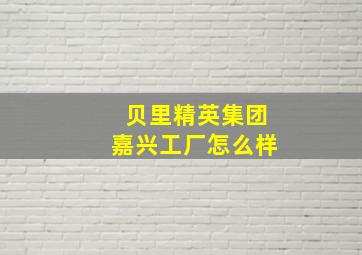 贝里精英集团嘉兴工厂怎么样