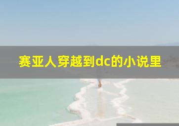 赛亚人穿越到dc的小说里