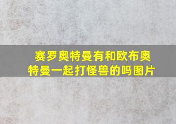 赛罗奥特曼有和欧布奥特曼一起打怪兽的吗图片