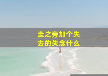 走之旁加个失去的失念什么