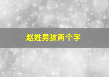 赵姓男孩两个字