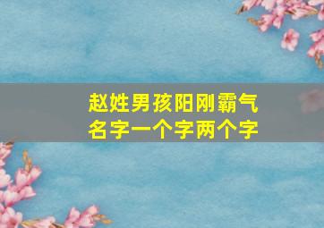 赵姓男孩阳刚霸气名字一个字两个字