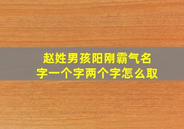 赵姓男孩阳刚霸气名字一个字两个字怎么取