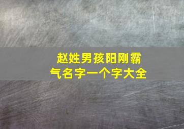 赵姓男孩阳刚霸气名字一个字大全